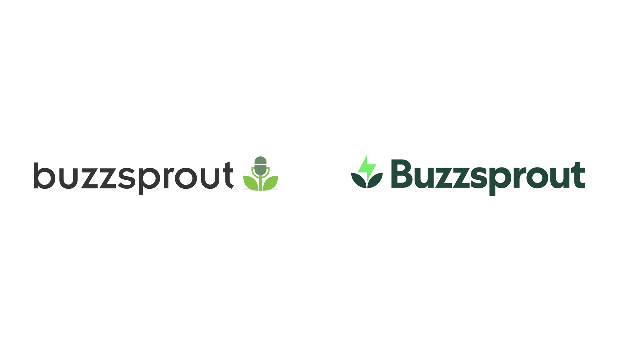Buzzsprout品牌形象設計：煥發播客花聯網平臺新活力