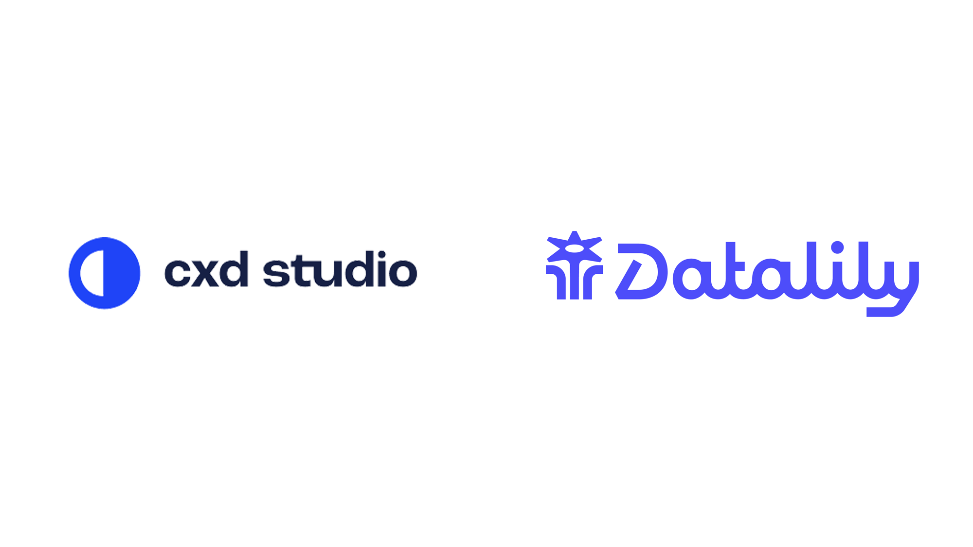 Datalily品牌形象設(shè)計(jì)大揭秘：數(shù)據(jù)與創(chuàng)意的完美融合